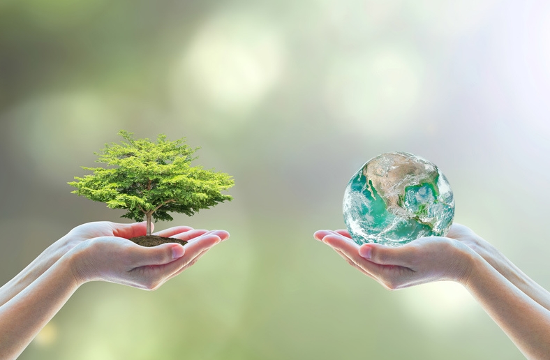 环保之路，源头减塑——小鹿妈妈